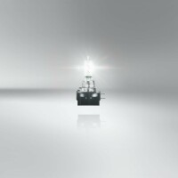 Osram Orginal H9B, Halogen 12V, 1er Faltschachtel - 64243